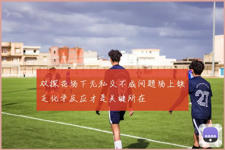 双探花场下无私交不成问题场上缺乏化学反应才是关键所在